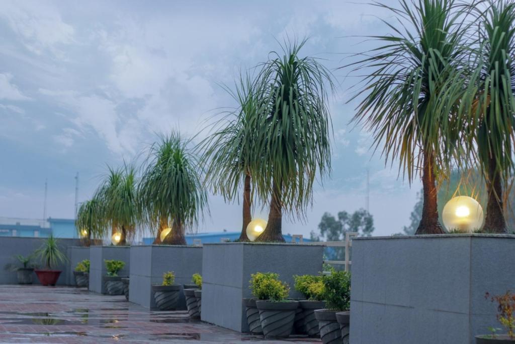 Hotel Mg Regency Baddi Esterno foto